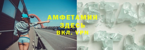 крисы Надым