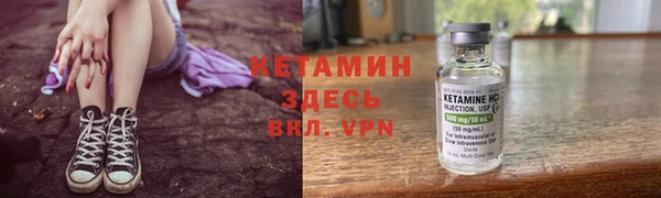 стаф Бородино