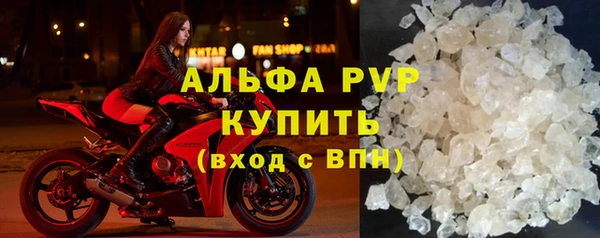 крисы Надым