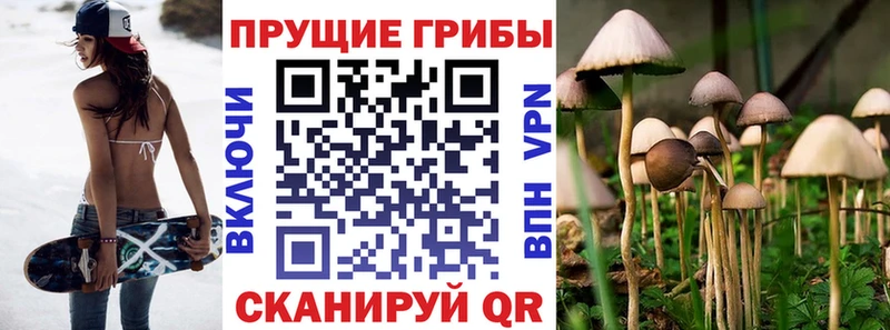 где продают   Нариманов  Галлюциногенные грибы мухоморы 